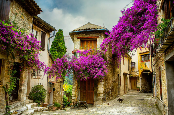 Excursion à terre : visites personnalisées avec guide privé
